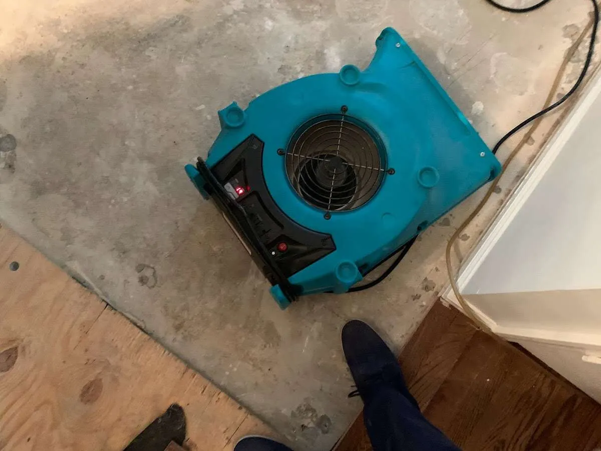 Air mover drying subfloor during Leak Detection & Repair in Jefferson